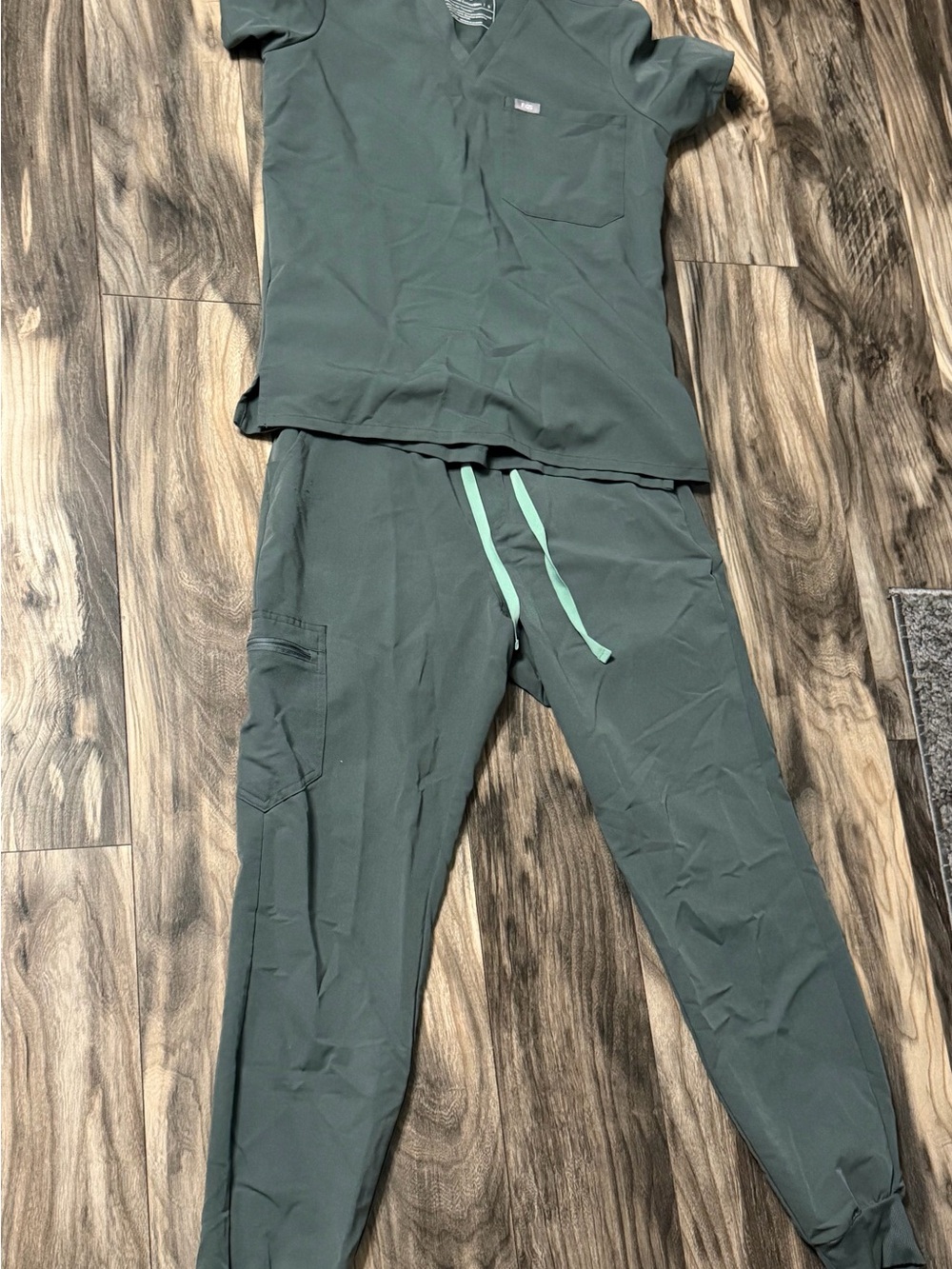 Women's fig Scrub Jogger Pants and top